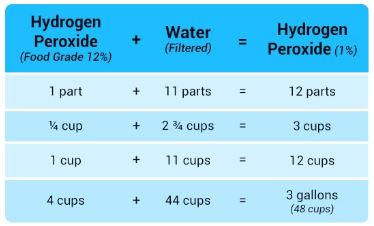 Is Nasal Irrigation More Important Than Hand-Washing? - LewRockwell