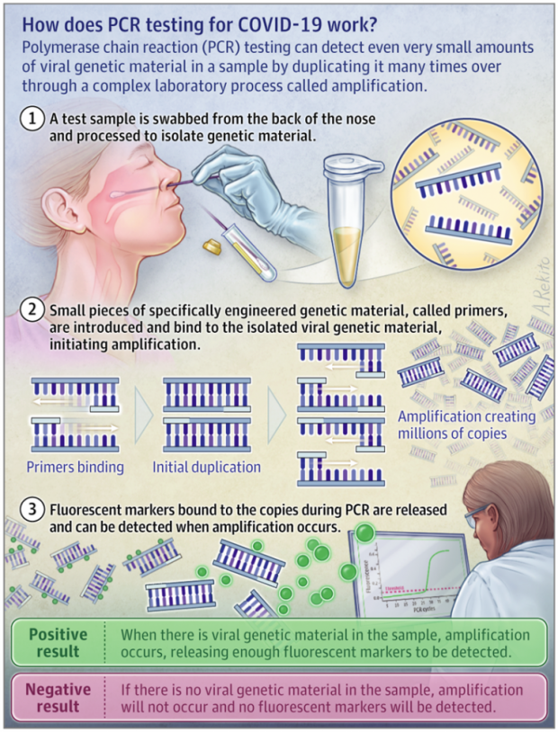 The Covid19 RTPCR Test How To Mislead All Humanity