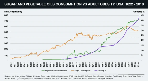 Linoleic Acid — The Most Destructive Ingredient in Your Diet - LewRockwell