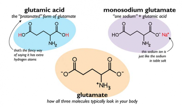 MSG and Free Glutamate: Lurking Everywhere - LewRockwell